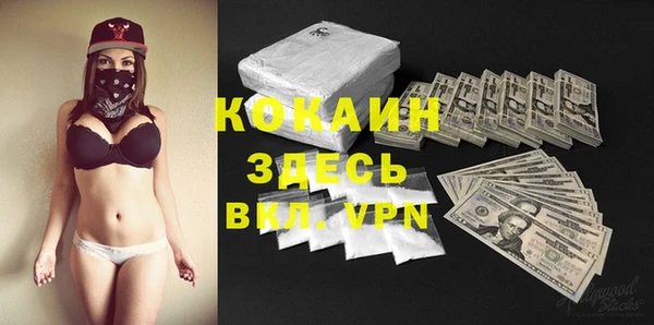 ПСИЛОЦИБИНОВЫЕ ГРИБЫ Абаза
