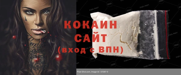 ПСИЛОЦИБИНОВЫЕ ГРИБЫ Абаза