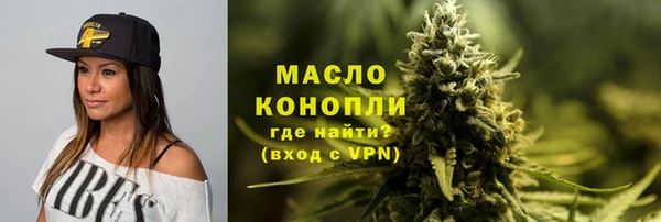 индика Абинск