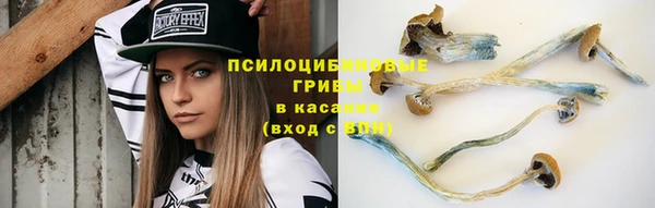 ПСИЛОЦИБИНОВЫЕ ГРИБЫ Абаза