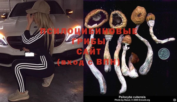 индика Абинск