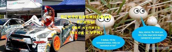 индика Абинск