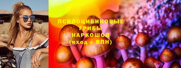 ПСИЛОЦИБИНОВЫЕ ГРИБЫ Абаза