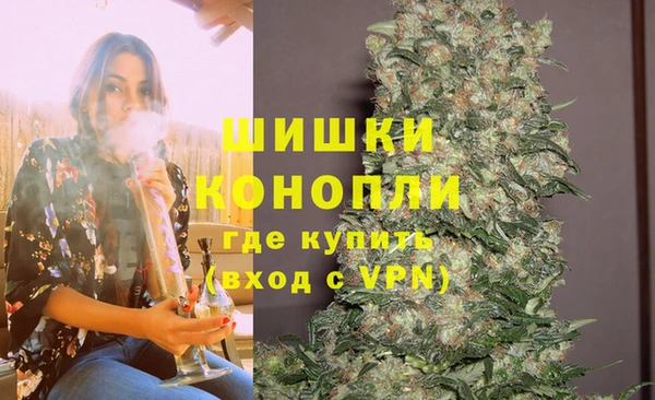 ПСИЛОЦИБИНОВЫЕ ГРИБЫ Абаза