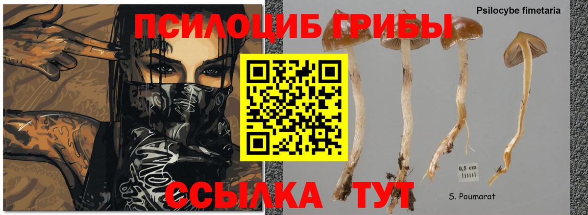 Псилоцибиновые грибы ЛСД Ангарск
